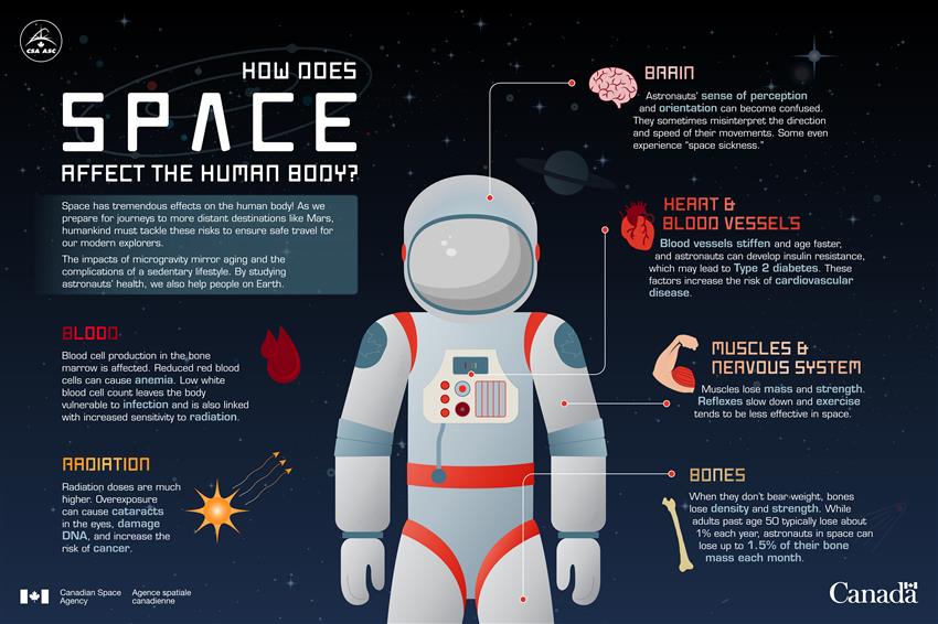What Happens to Your Body If You Get Lost in Space?